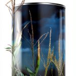 Montlake Romance Mystery Book Kindle English Thriller-0